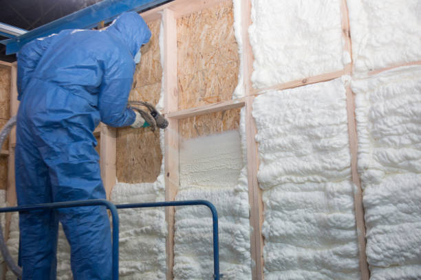 Types of Insulation We Offer in Ridgeland, MS